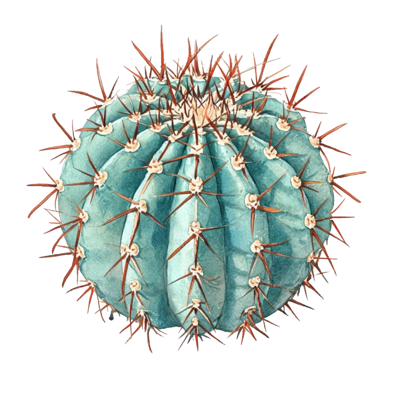 Ferocactus